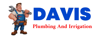 Trusted plumber in DURANGO